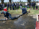 Foto 16 : 